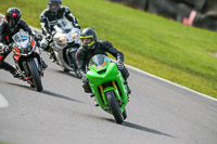 Lower Group Green Bikes